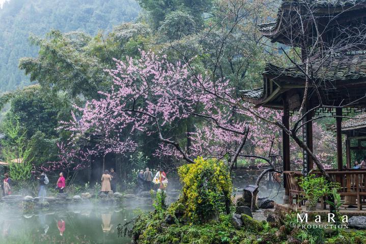 太阁立志传5